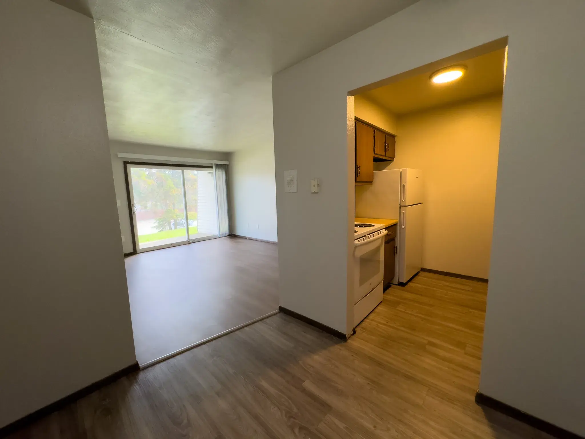 Kitchen and living area